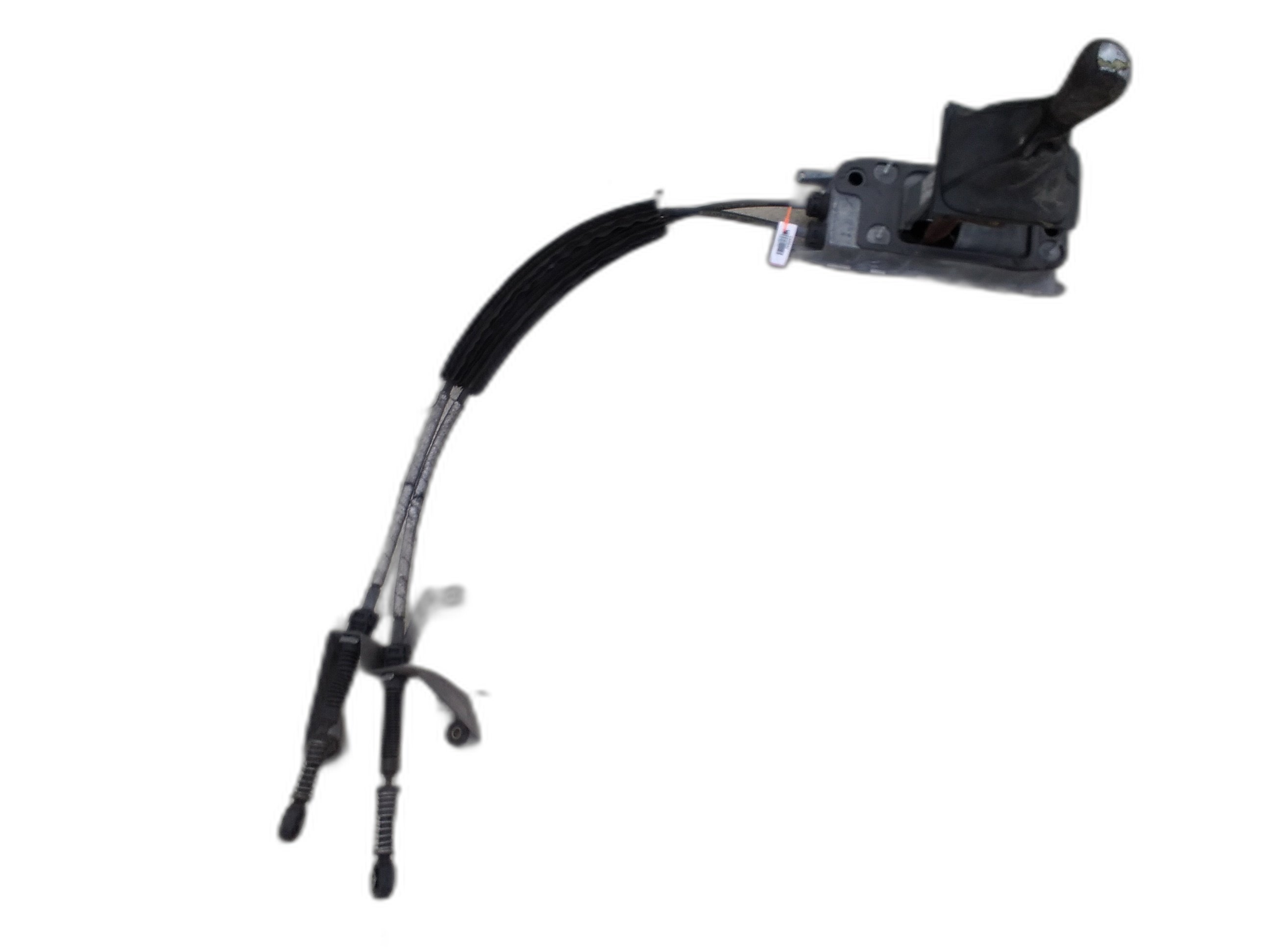 жила скорости