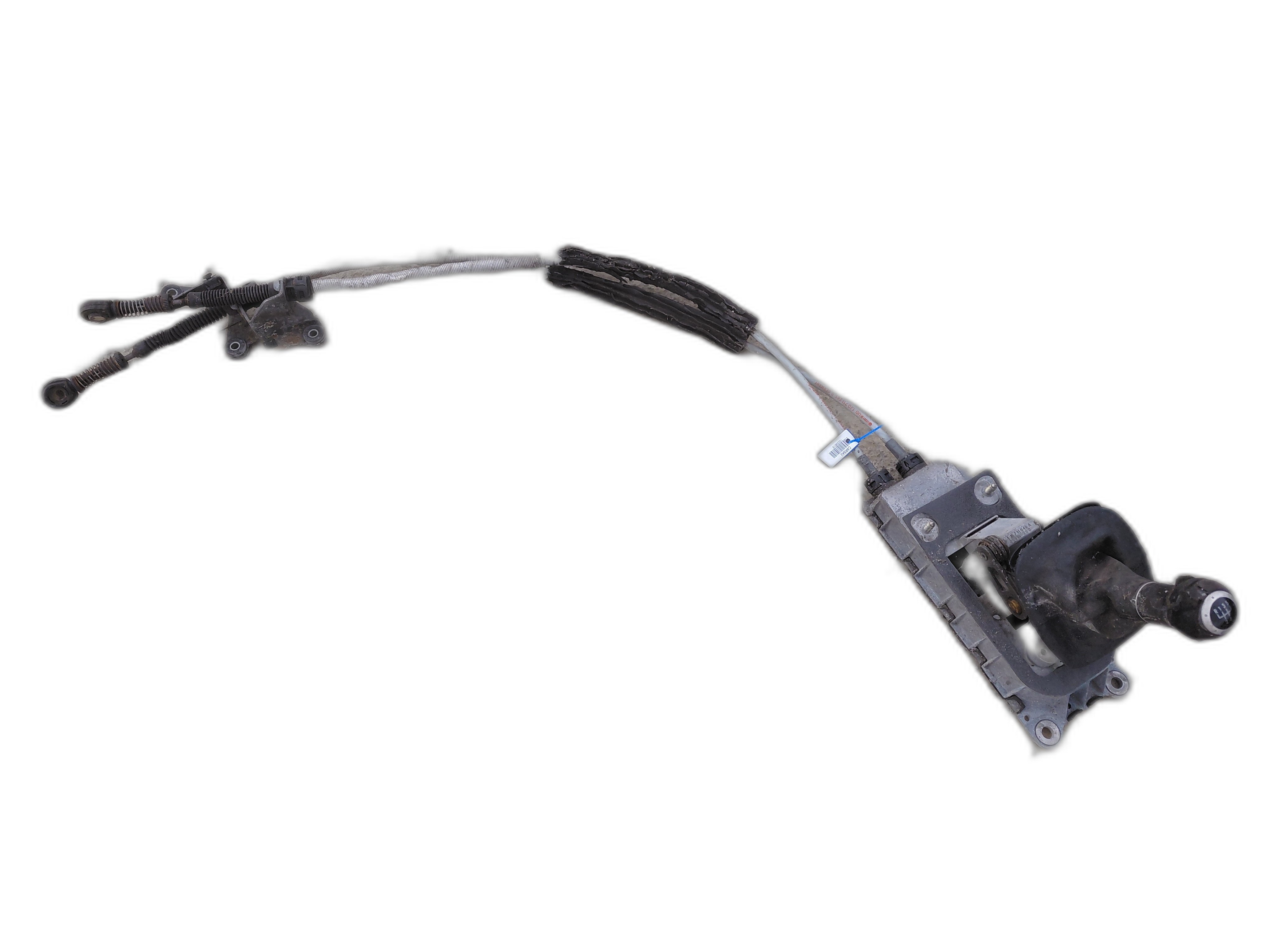 жила скорости