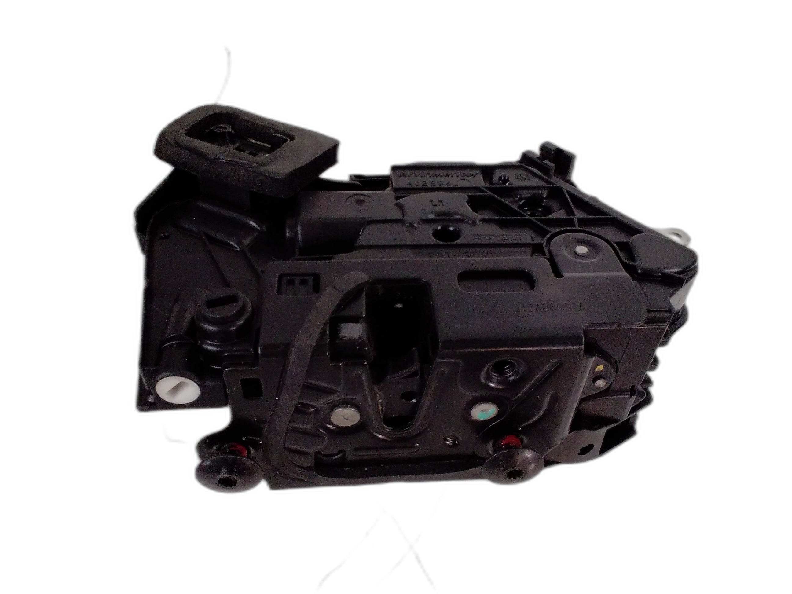 Задна лява брава врат а