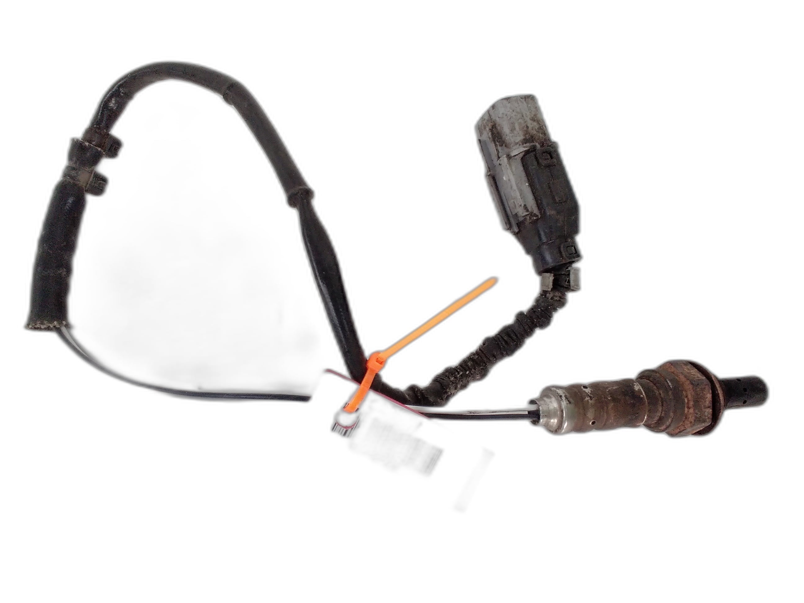 ламбда сонда